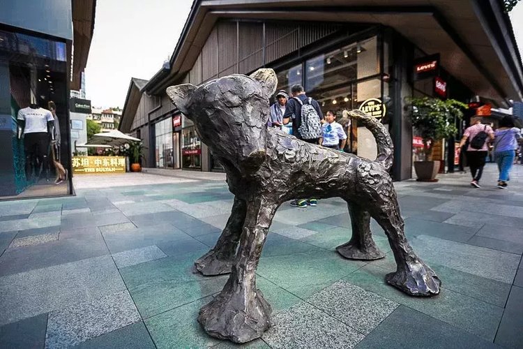 成都冷知识大全图片,成都冷知识你不知道的华阳