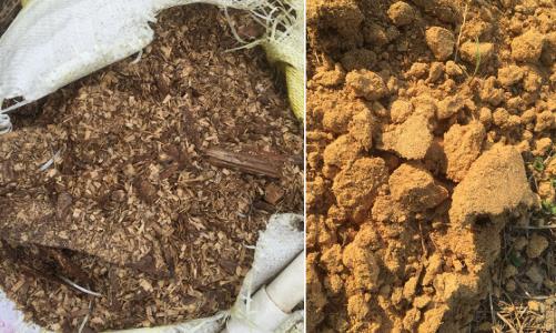 蓝莓土壤加醋能变酸吗,蓝莓土壤改酸方法