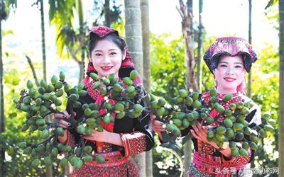 三亚美丽乡村旅游文化,三亚美丽乡村旅游节