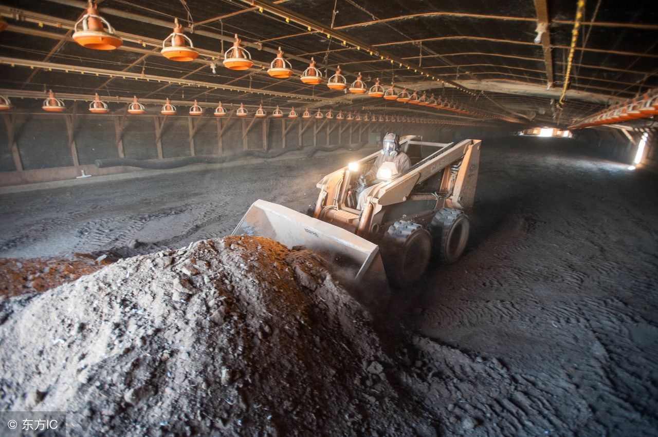 鸡粪有机肥原料真的都是鸡粪吗,鸡粪肥真的是鸡粪吗