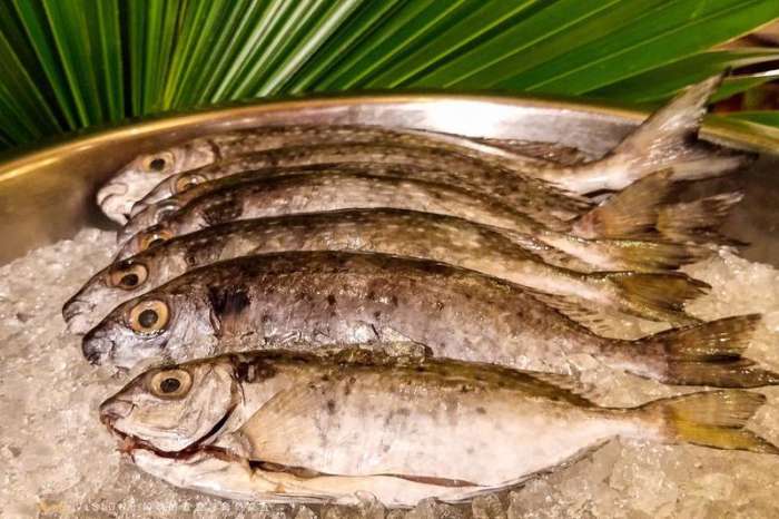 三亚海棠湾酒店推荐经济实惠,三亚海棠湾万丽酒店攻略