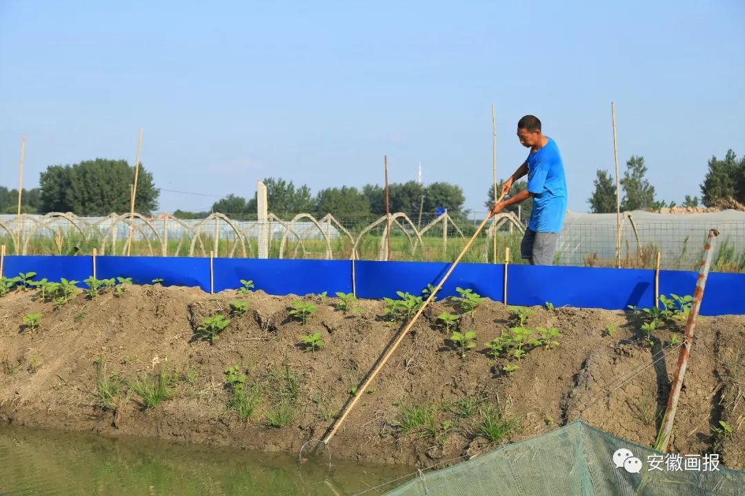 收看此心安处是吾乡专题片简报,观看此心安处是吾乡专题片