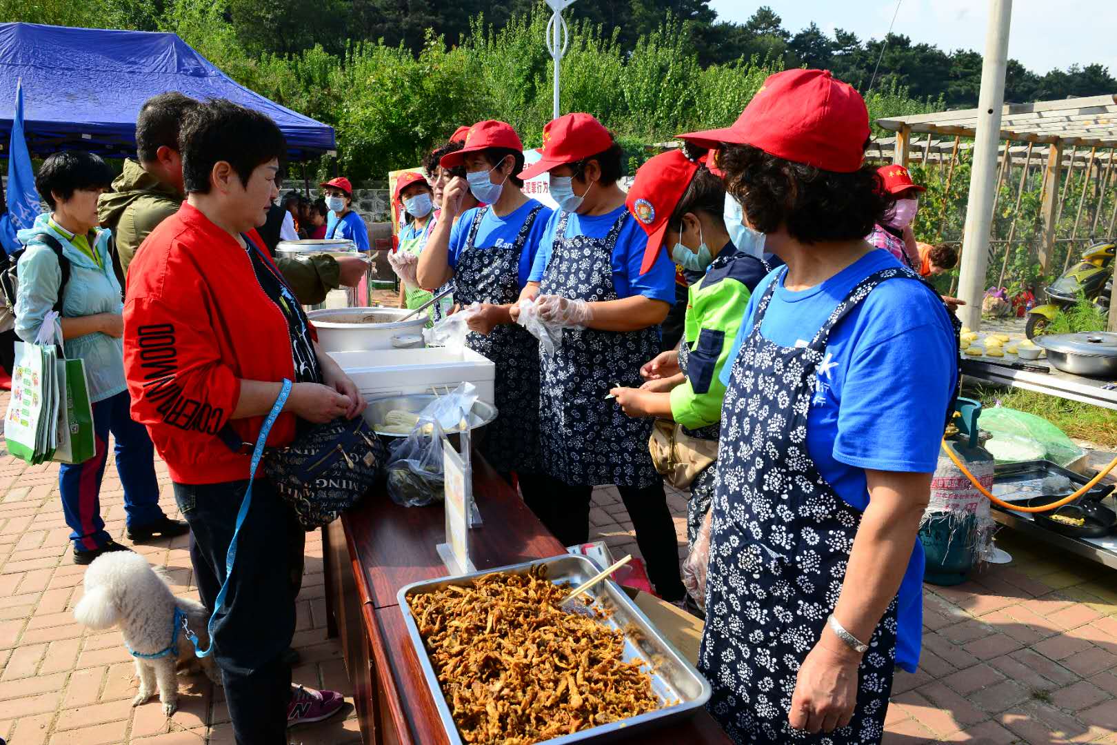 弘侨生物科技股份有限公司,弘侨生物直播