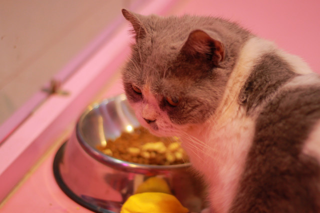 上海魔都奇妙减压馆,魔都减压视频完整版