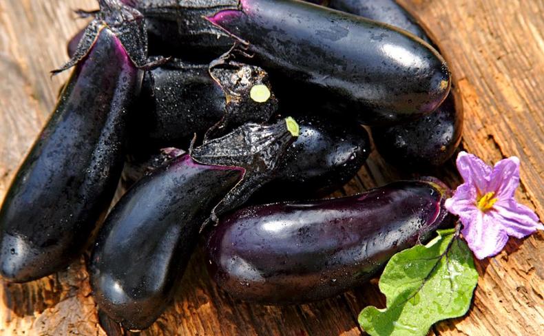 茄子的营养和害处,茄子孕妇营养