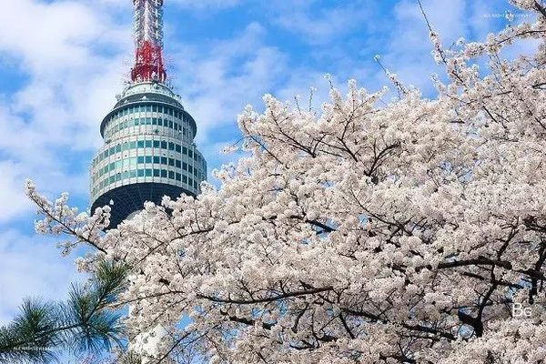 到济州岛旅行行程,济州岛一年往返12次