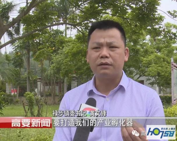 我区学习借鉴龙胜县旅游发展经验打造“河乐水”乡村旅游示范区助推乡村振兴