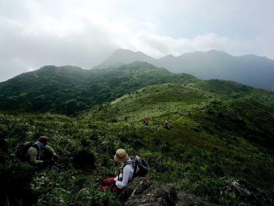 广东绝美高山大草甸,南方高山草原风景