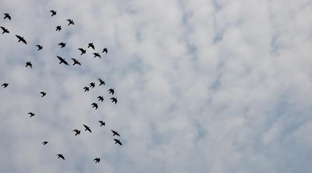 三星note9照相故障,三星note9的照相镜头最边上是什么