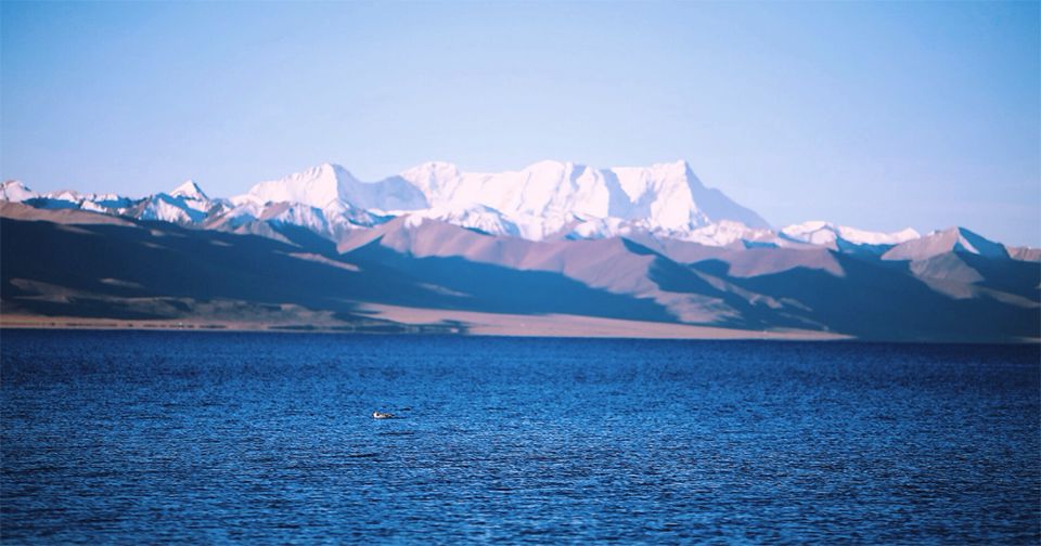 景区厕所测评,差评率最高的旅游景区