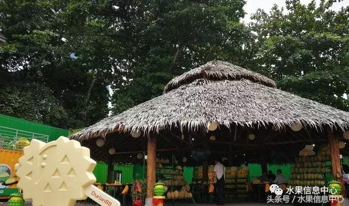 从榴莲代购起家，到64个实体销售点，他势要打造一个榴莲王国