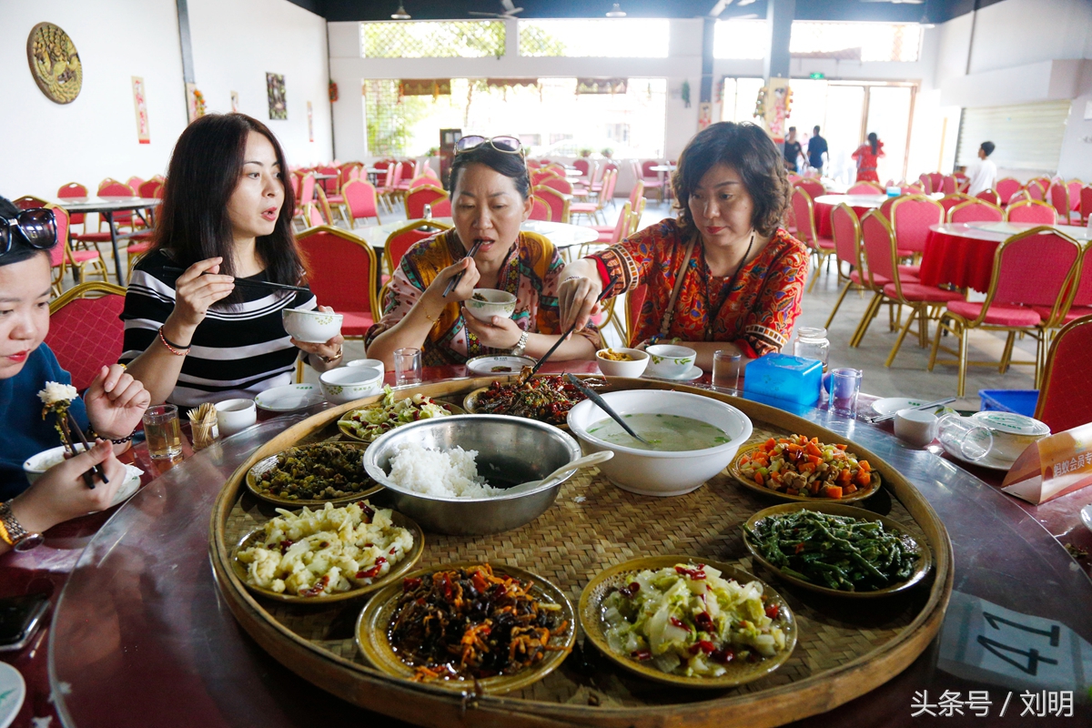 蚂蚁旅游专线云南之旅,蚂蚁旅游行
