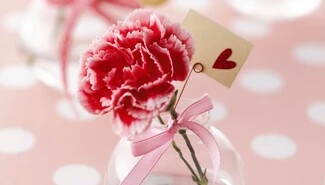 花语大全喜欢的赶紧收藏起来,花语大全100种花的花语象征爱情