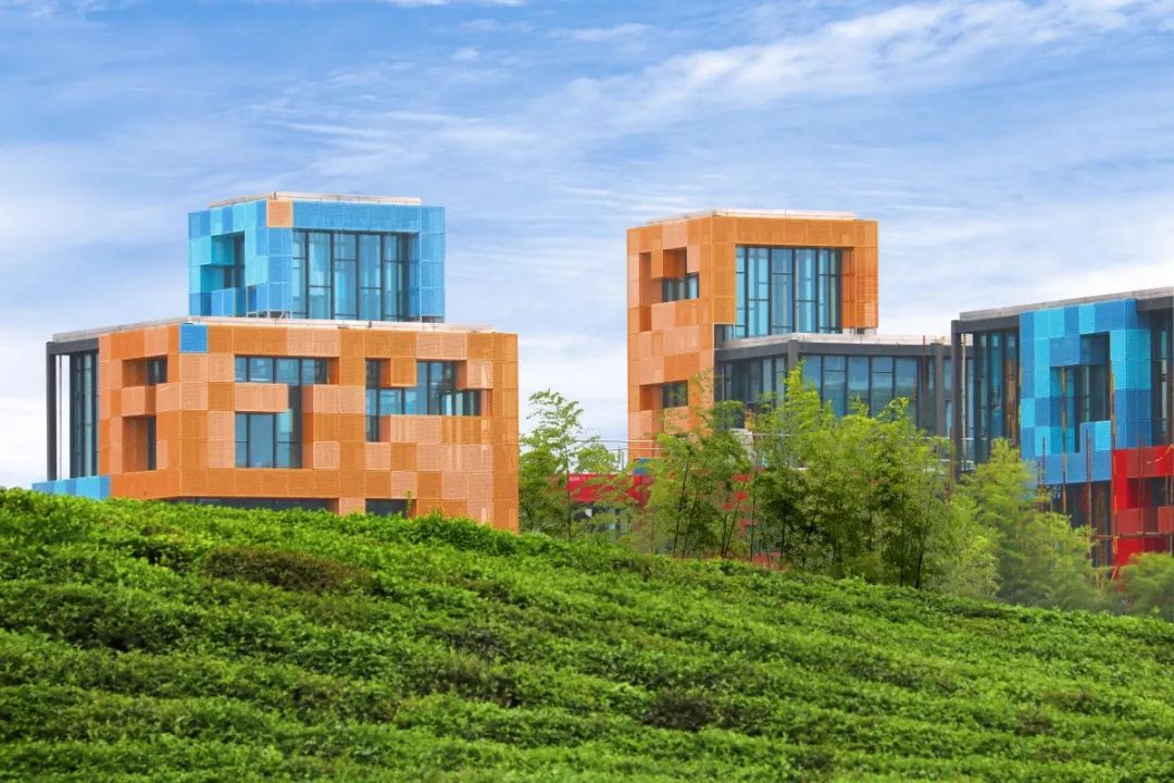 茶文化主题公园在哪,2021哈尔滨文化公园开园