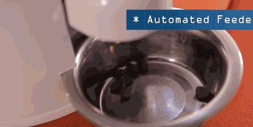 长假在即，铲屎官不敢出门？智能神器来帮你！