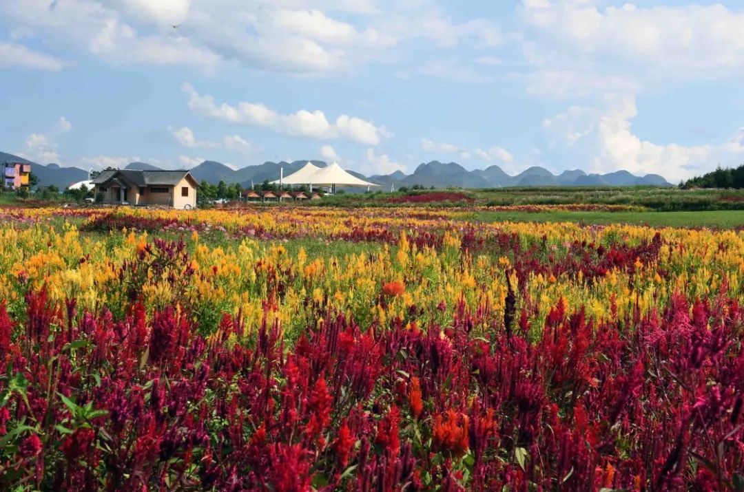 划重点｜鼓励农业科研人员到企业兼职兼薪“名利双收”