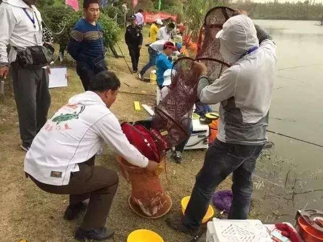 西安浐灞湿地公园，你国庆假期的活动要不要这么多，这么精彩啊