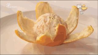 日本奇葩创意设计节目,日本创意设计节目