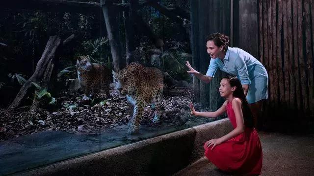 新加坡夜间动物园英语版,新加坡圣淘沙夜间动物园