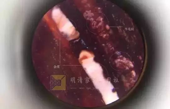 金星和牛毛纹图片,牛毛纹和棕眼图解