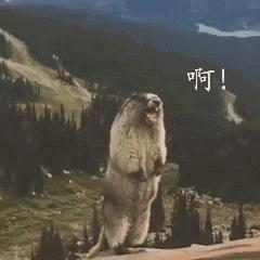 没用过这九大效率工具，难怪你国庆节要加班