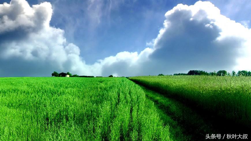 离职后如何退出部门群,离职员工退出工作群的通知
