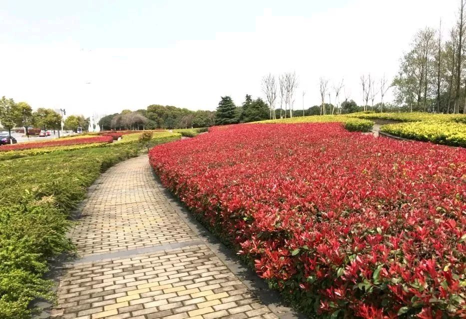 南昌纯玩一日游必去景点攻略大全,南昌纯玩一日游必去景点攻略图