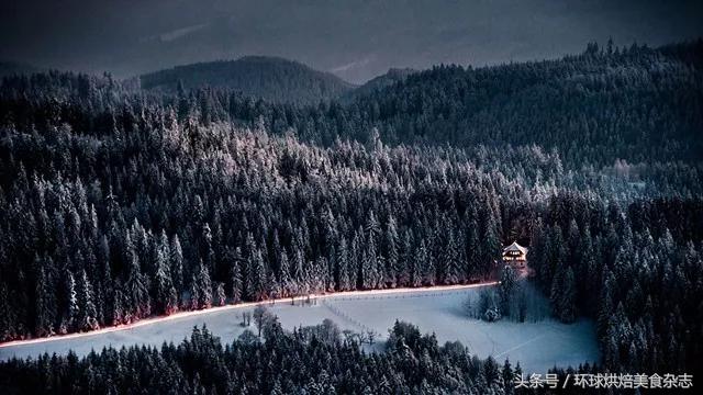 在家就能做出美味的黑森林蛋糕,自制正宗黑森林蛋糕