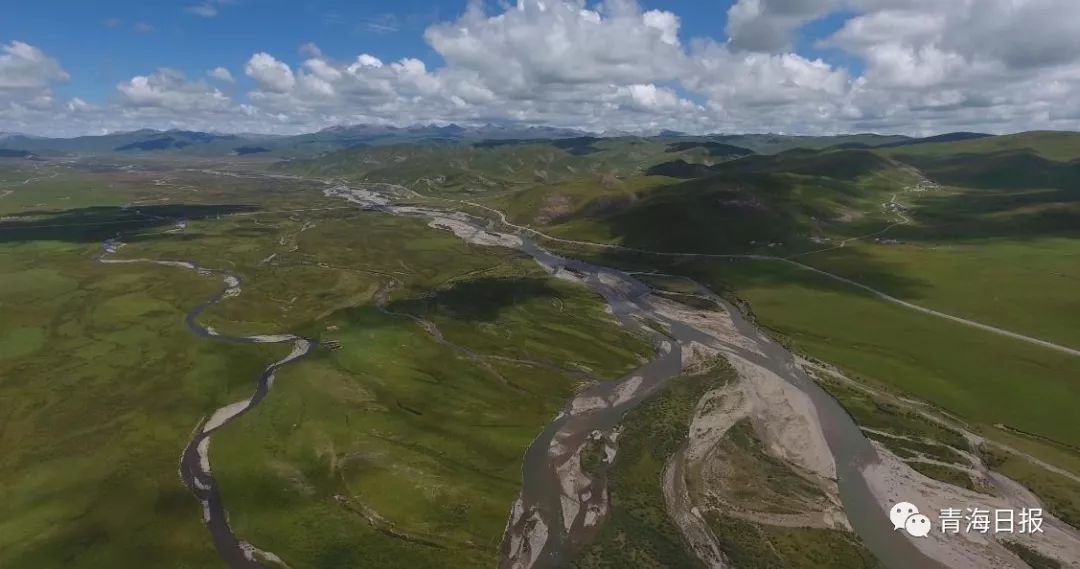 青海湖国家公园征集logo,沙柳河国家湿地公园湟鱼