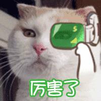 新雨自然学校·第一期Day1：快来建造属于自己的生态花园吧！