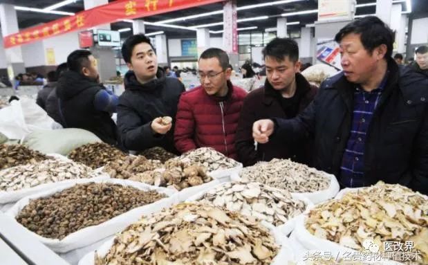 中药饮片造假常识,中药饮片经典鉴别方法有哪几种