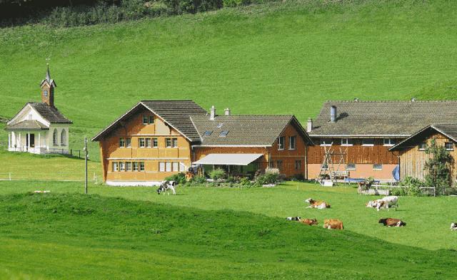 带奶粉过海关被扣,带8罐奶粉过海关