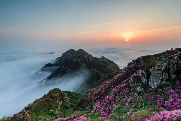 国庆去大连旅游攻略,国庆大连游玩攻略