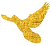 头版专版人民日报重磅报道晋江,人民日报晋江经验报道