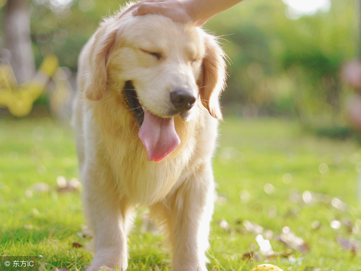 带娃出门散步不方便拿手机怎么办,带小孩出门没围栏怎么办