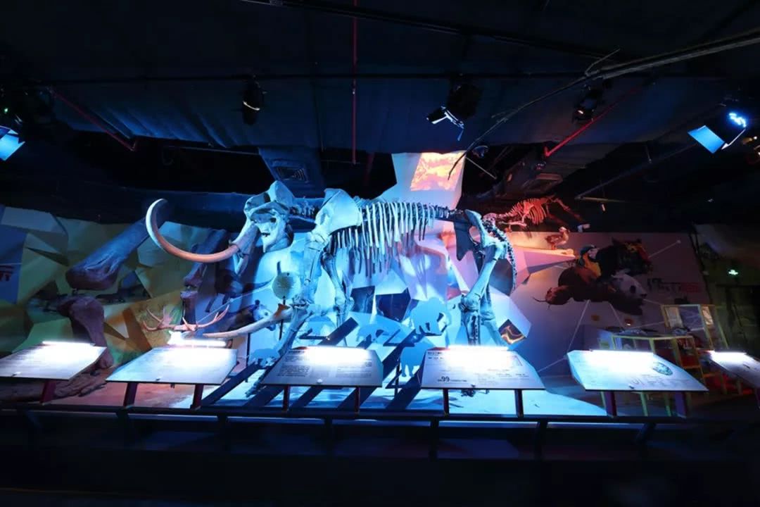 倒计时3天，“德闲”过嚟玩~正佳广场嗨足15天的剁手攻略在此！