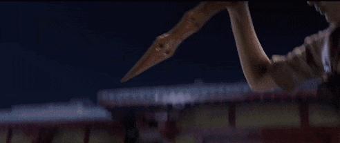 张雨绮与独立女性,张雨绮是哪种女人