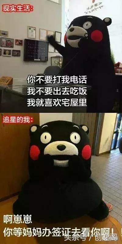 「逸篇文字」追星真的没有尊严吗？