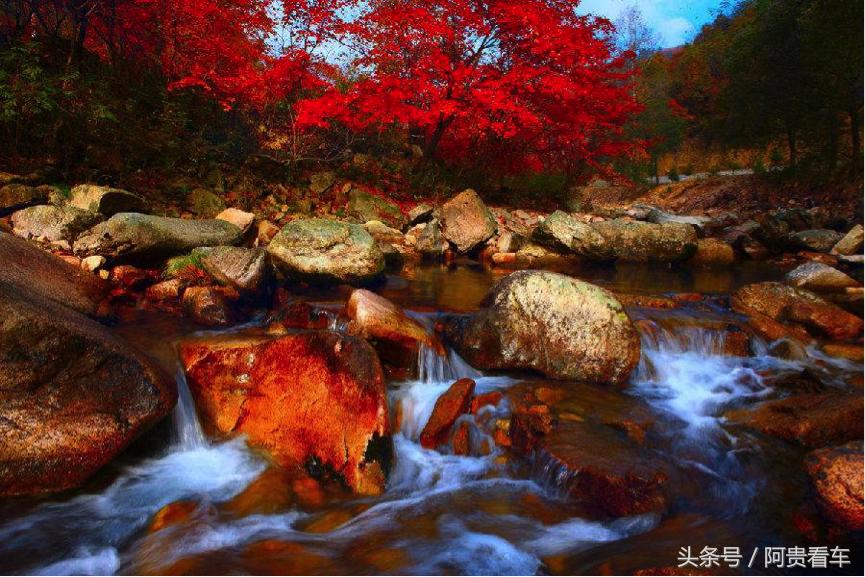 十一万以内的车推荐,十一自驾游推荐