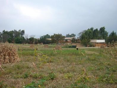 农民种地没打工怎么赚钱,出去打工家里的田无人种