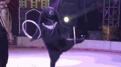 广东国庆假期攻略准备好了,国庆小长假广东