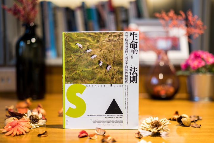 有关人类社会发展史的书籍,人类社会进化书