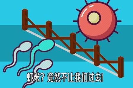 房事后多余的精子去哪里，会不会对女性造成伤害