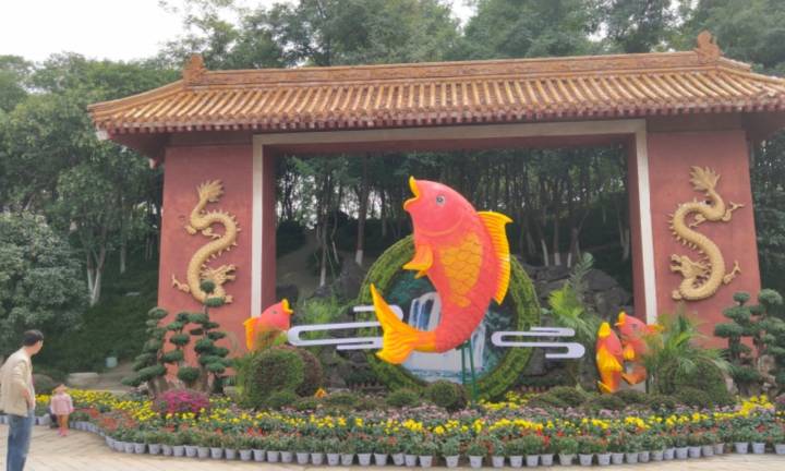 发烧呕吐腹泻，孩子学习为什么这么紧张？