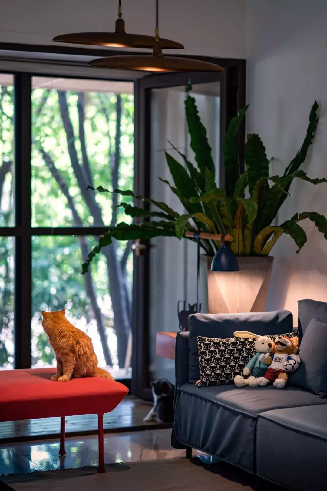 小满优选｜拥有两只喵的铲屎官，找人把110m²三室设计成这样！