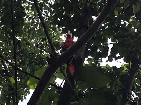 黑色十一代本田雅阁自驾游,本田雅阁轿车自驾游的真实生活