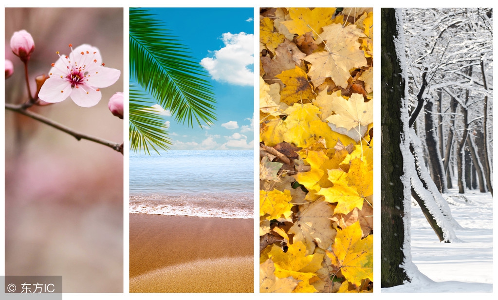 你说得是美式英语吗英语怎么说,你说的是英音还是美音