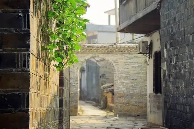 九江周围九月份游玩,九江市旅游的地方必去十大景点