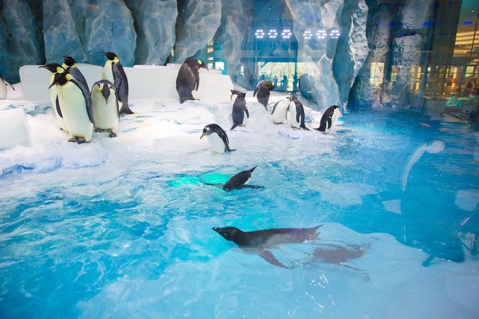 珠海长隆度假区一天旅游攻略,珠海横琴长隆旅游景点大全