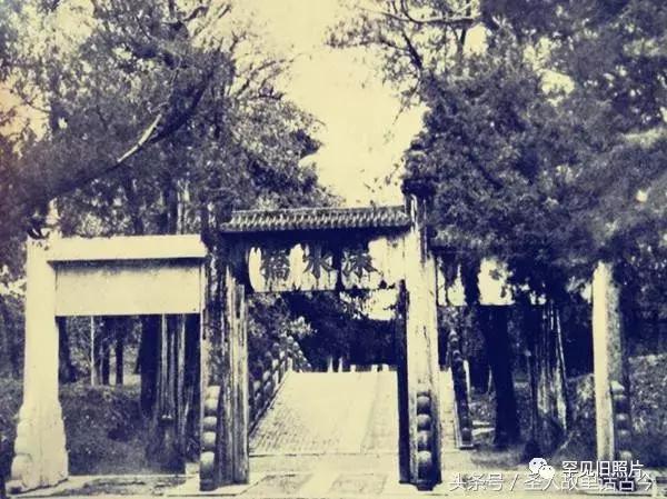 孔府孔林孔庙的高清图片,孔府孔庙孔林经典高清照片